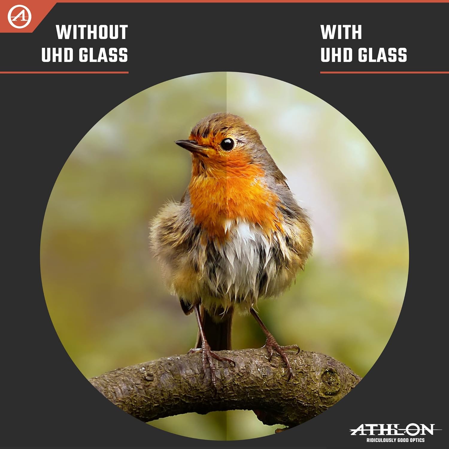 Athlon Optics 8x42 Midas UHD Gray Binoculars - Image 8